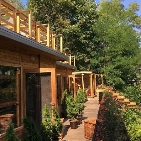 Skay Loft Bed & Breakfast Brasov Luaran gambar