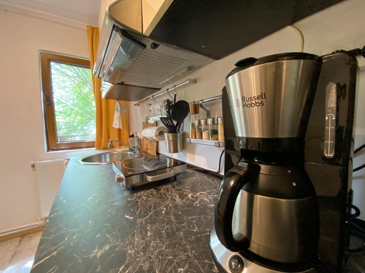 Skay Loft Bed & Breakfast Brasov Luaran gambar