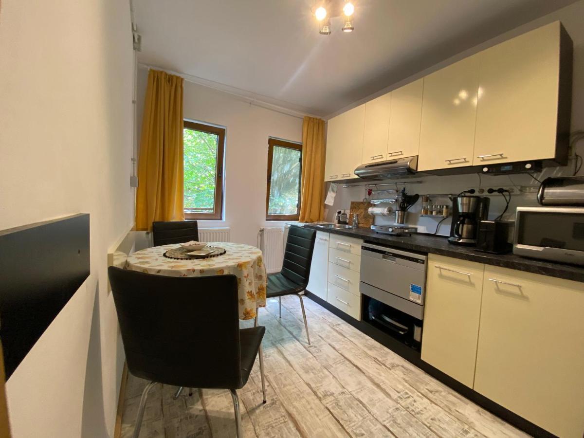 Skay Loft Bed & Breakfast Brasov Luaran gambar